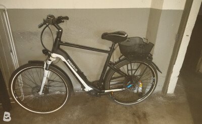Pegasus gebraucht kaufen | Bikeflip