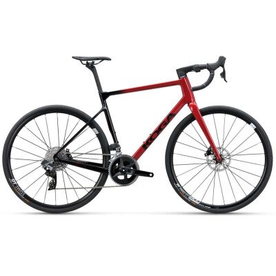 Koga ROQA Premium 2024