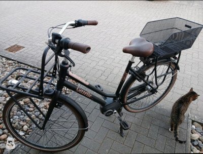 Gazelle E-Bike gebraucht kaufen | Bikeflip