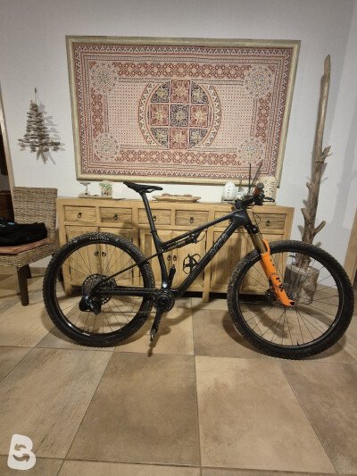Arc8 Evolve fs
Evolve fs 2023