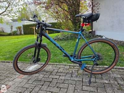 Bulls Copperhead 3 2025