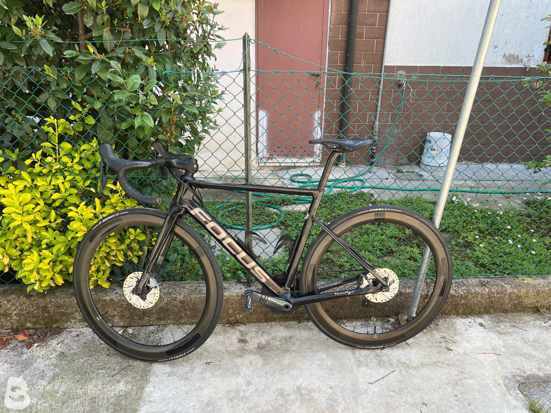 Focus IZALCO MAX DISC 8.8 2021 used