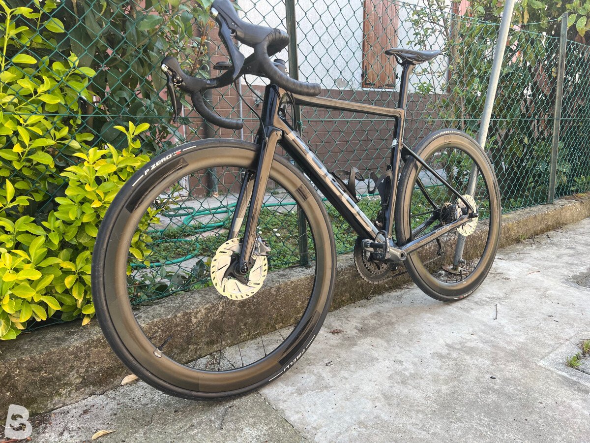Focus IZALCO MAX DISC 8.8 2021 used