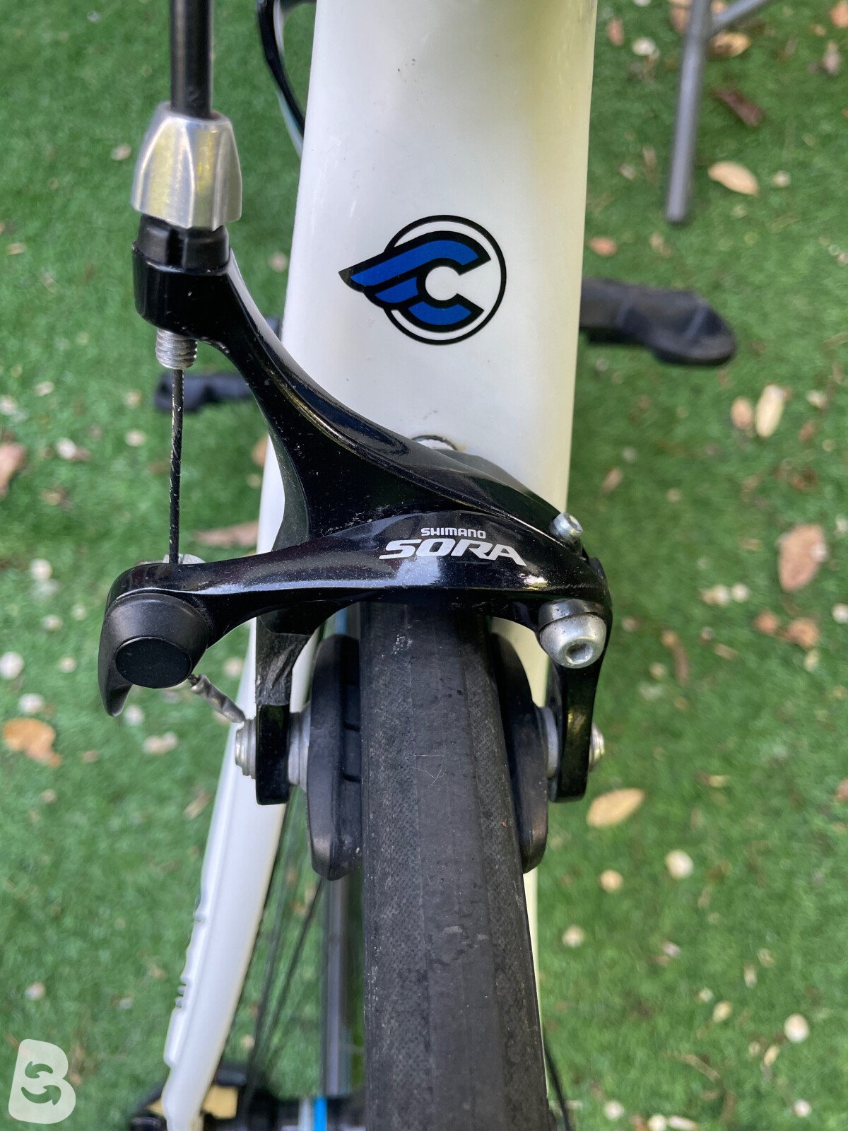 Cinelli Saetta used