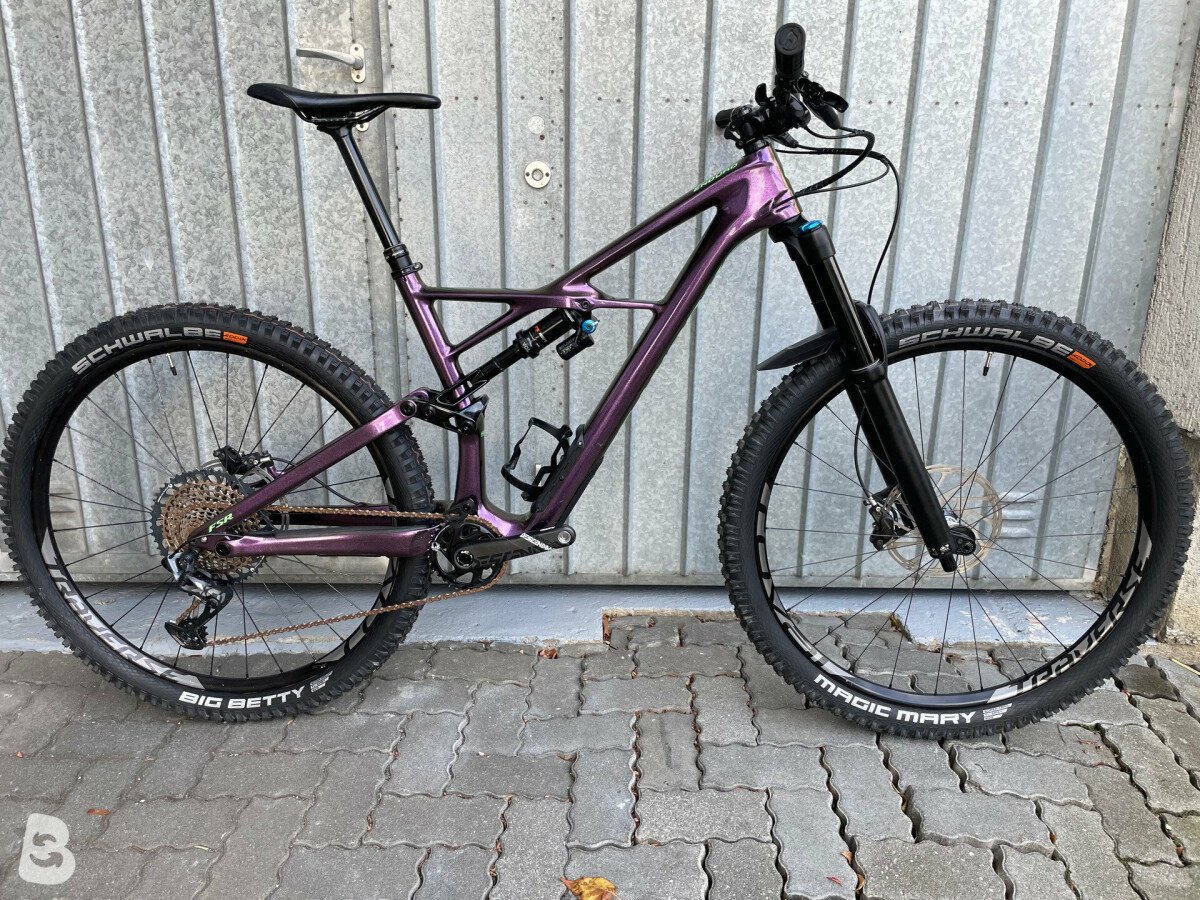 Specialized enduro online 29 2019