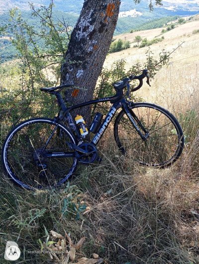 Bianchi Oltre Xr1 2016