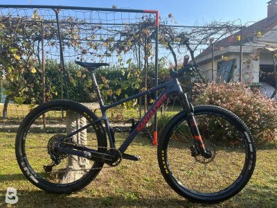 Santa Cruz Highball c 2020