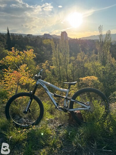 Ibis Ripmo X01 Eagle 2019