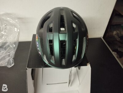 Scott Arx plus 2025