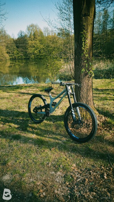 Specialized Demo 2019