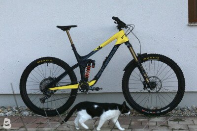 Rocky Mountain Slayer 2017