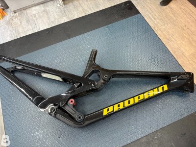 Propain Rage Carbon DH 2025