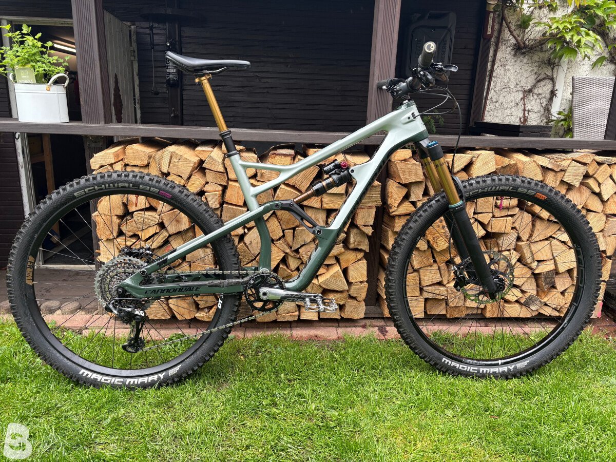 Cannondale Jekyll Carbon 2 2020 used