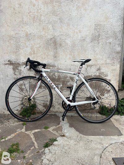 De Rosa Idol 2010