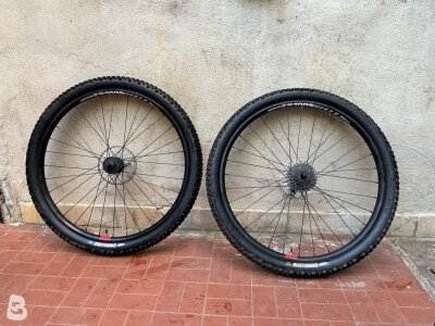 Signum XS 1005