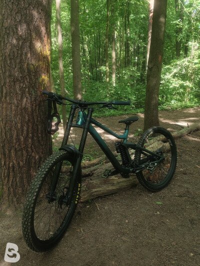 Scott Gambler 910 2023