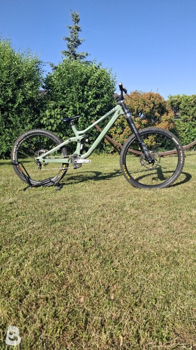 Scott Gambler 910 2021