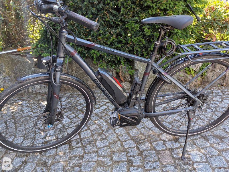 Pegasus gebraucht kaufen | Bikeflip