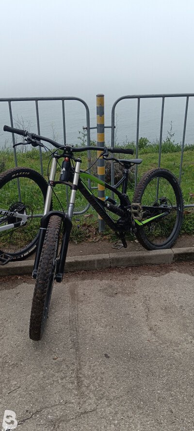 Nukeproof Pulse 2017