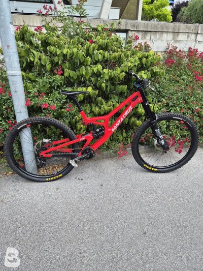 Santa Cruz v10 2024