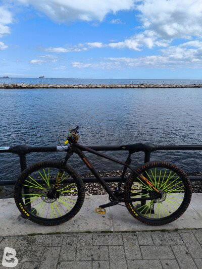 Bergamont Revox 7 2020