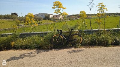 Pinarello DOGMA X SOLAR GREEN 2025