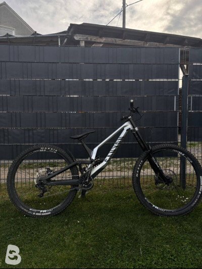 Canyon Sender cfr underdog 2023