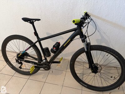 Bergamont Revox 5 2024