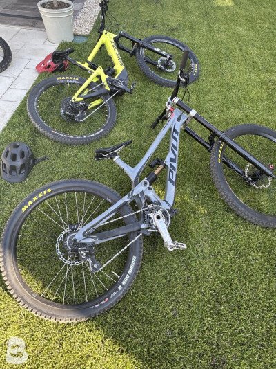 Pivot phoenix 29 2023