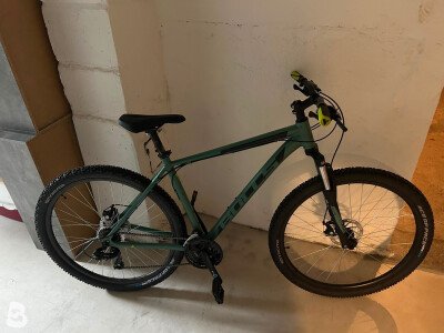 Bulls Wildtail 1 2024