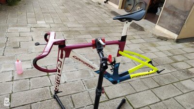 Corratec Evo cct team 2024