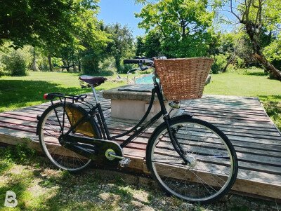 Pashley Princess Sovereign 2010