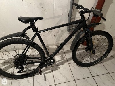 Bulls Copperhead 2 2021