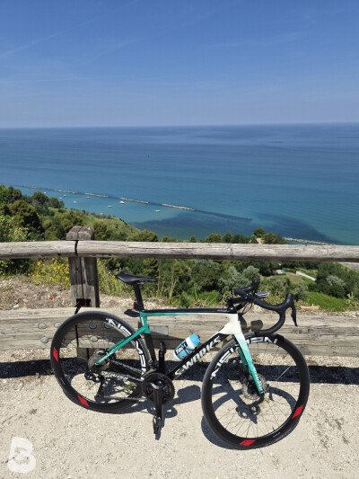 Newmen Advanced SL  R.38