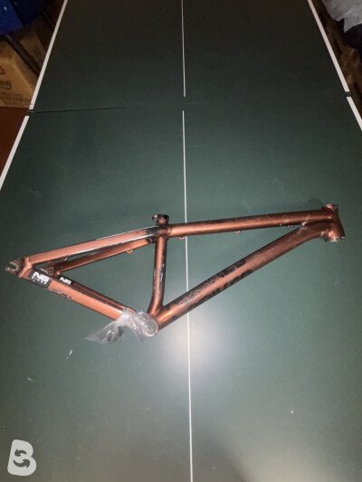 Ns Bikes decade 2024