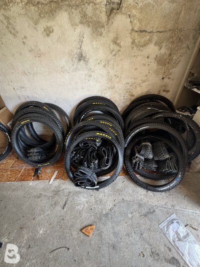 Maxxis lot of tire