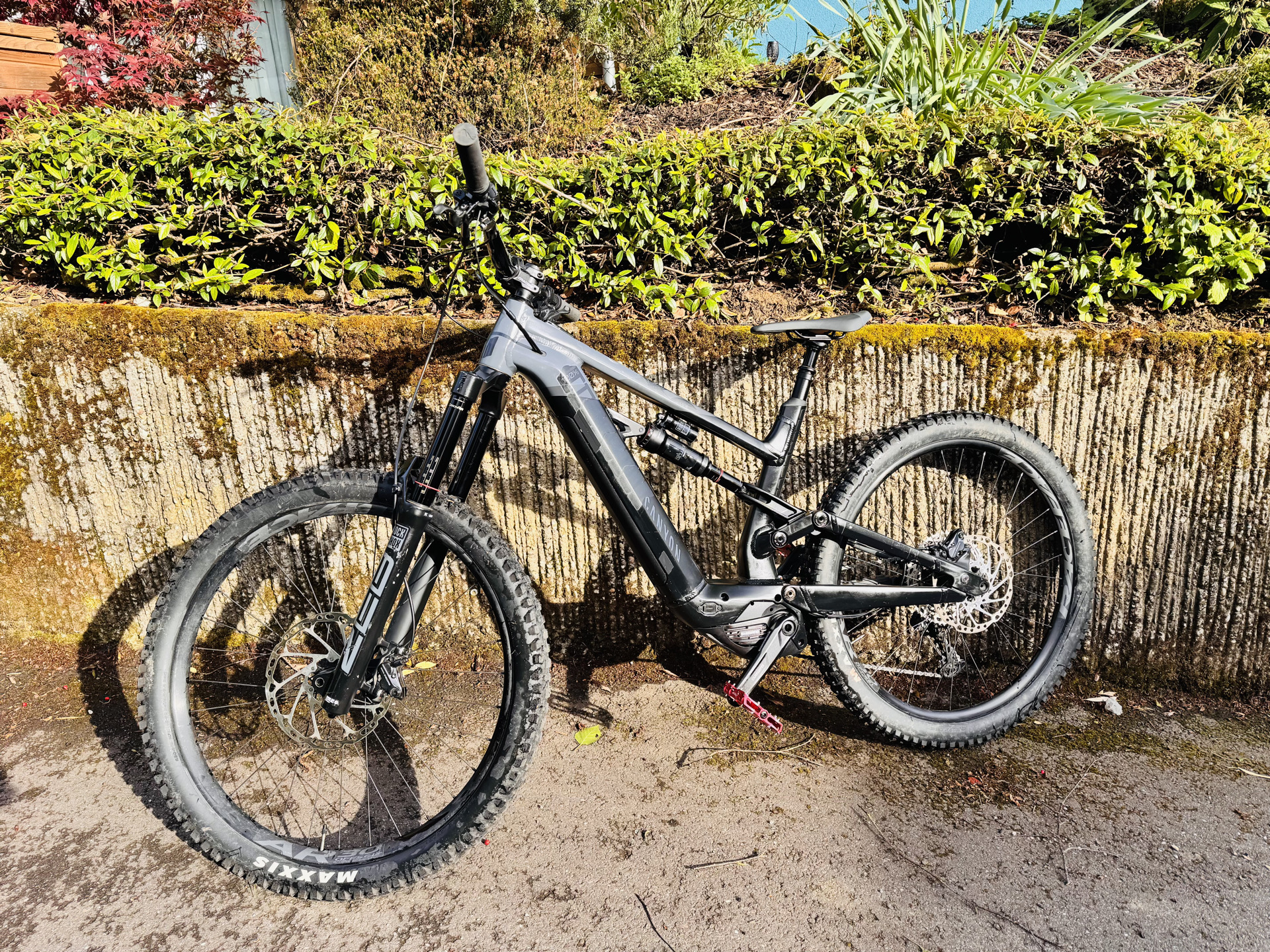 Canyon Torque:ON 7 2022