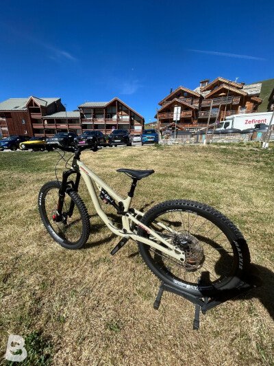 Saracen ariel 60 2026