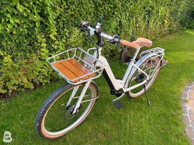 Bulls Sturmvogel EVO 10 2023