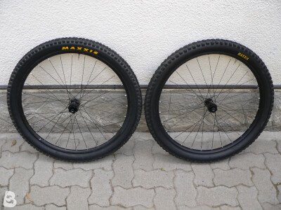 Ursus DRC