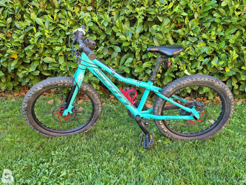 Scott Kids & Youth bikes: buy used & new | Bikeflip