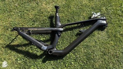 Canyon Spectral CFR 9.0 2019