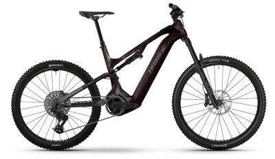 Haibike Allmtn CF 9 black platinum 2026