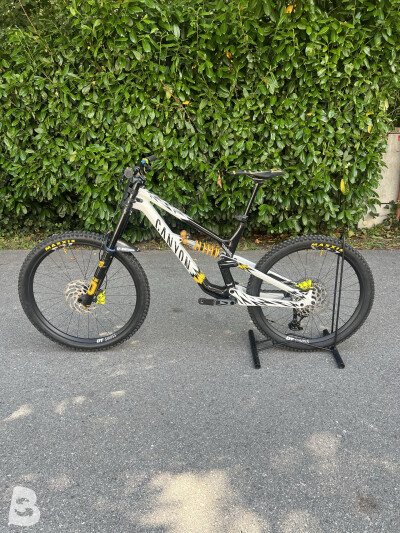 Canyon Torque CF Fabio Wibmer 2024