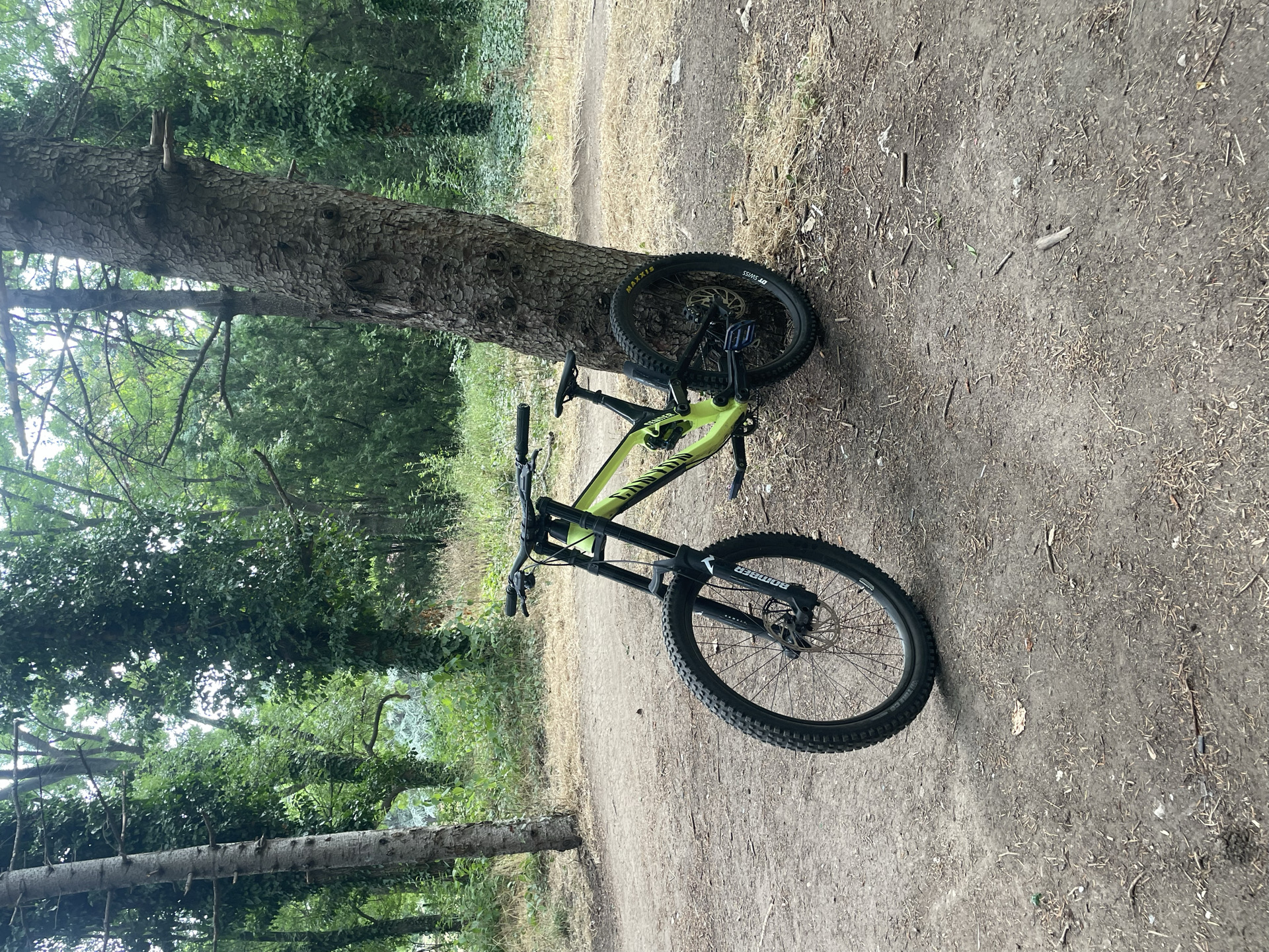 Canyon Sender AL 6.0 2020