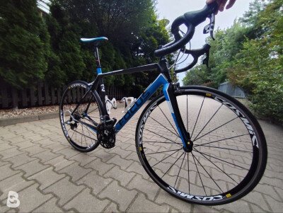 Focus Cayo Evo 3 2012 used