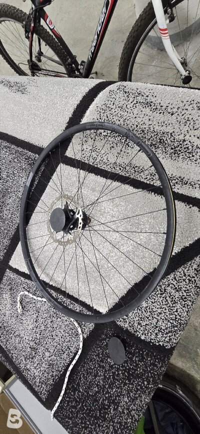 Stans Notubes crest