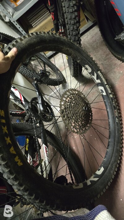 Drc Drc Bigfoot (posteriore) /WTB KOM Trail i30 TCS (anteriore)
