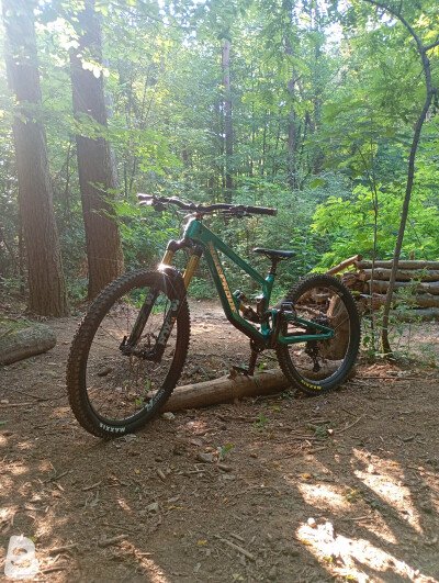 Nukeproof Giga 297 Carbon Factory 2023