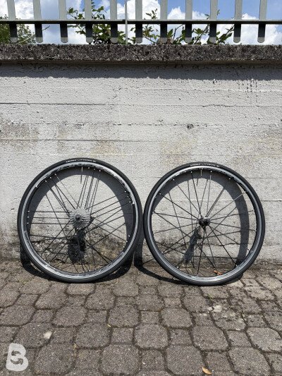 Campagnolo Shamal